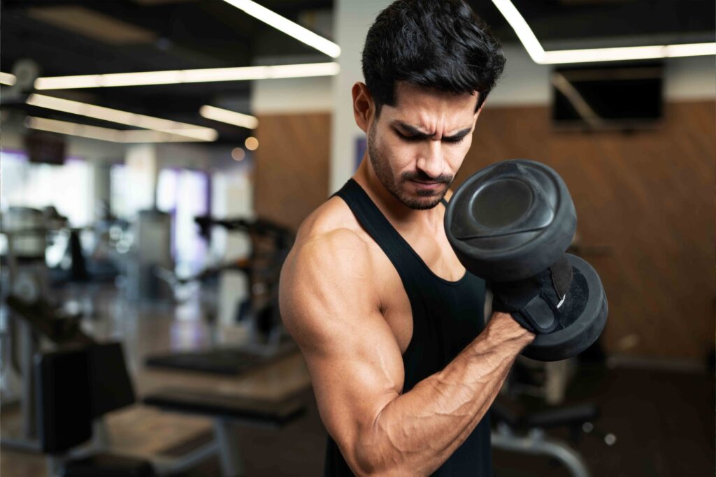 programme musculation biceps